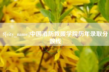 祁东中国消防救援学院历年录取分数线