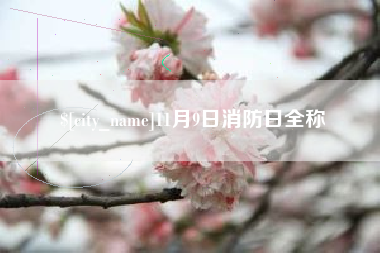 祁东11月9日消防日全称