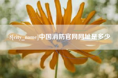 祁东中国消防官网网址是多少