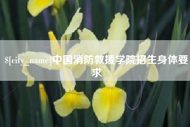 祁东中国消防救援学院招生身体要求