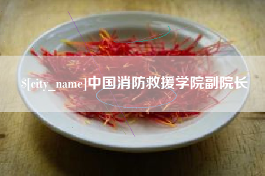 祁东中国消防救援学院副院长