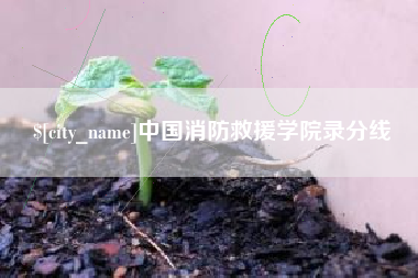 祁东中国消防救援学院录分线