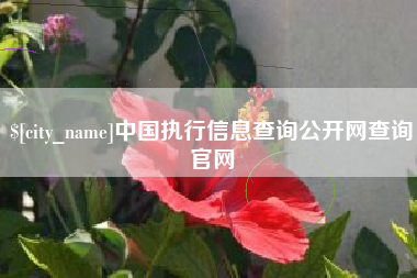祁东中国执行信息查询公开网查询官网