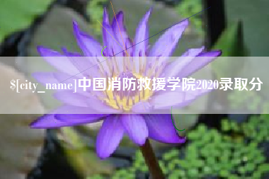 祁东中国消防救援学院2020录取分