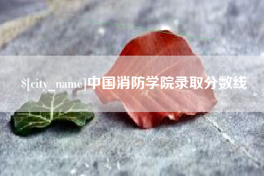 祁东中国消防学院录取分数线
