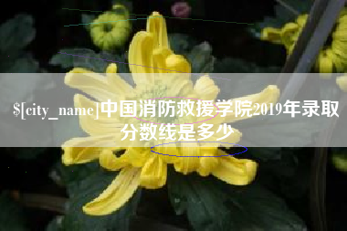 祁东中国消防救援学院2019年录取分数线是多少