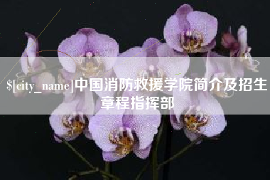 祁东中国消防救援学院简介及招生章程指挥部