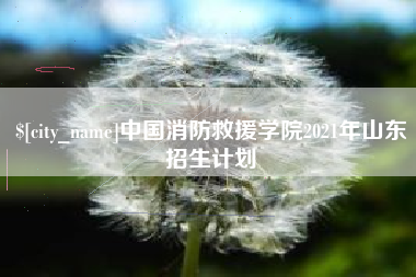 祁东中国消防救援学院2021年山东招生计划