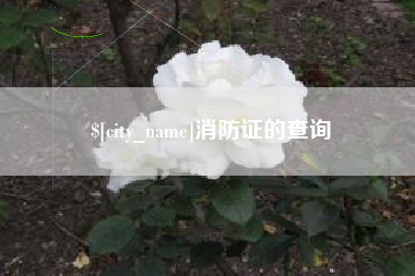 祁东消防证的查询