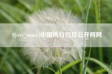 祁东中国执行信息公开网网