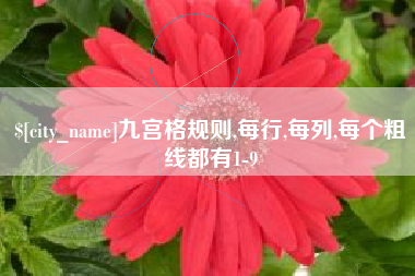 祁东九宫格规则,每行,每列,每个粗线都有1-9