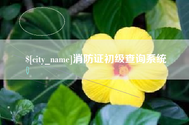 祁东消防证初级查询系统