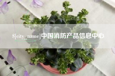 祁东中国消防产品信息中心