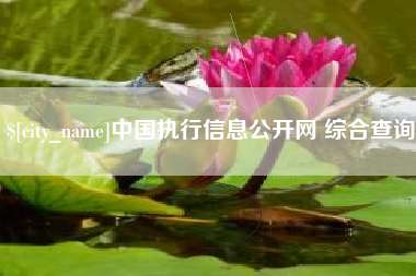 祁东中国执行信息公开网 综合查询