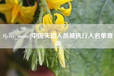 祁东中国失信人员被执行人名单查询