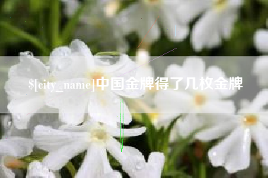 祁东中国金牌得了几枚金牌