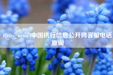 祁东中国执行信息公开网客服电话查询