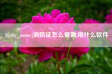 祁东消防证怎么查询,用什么软件