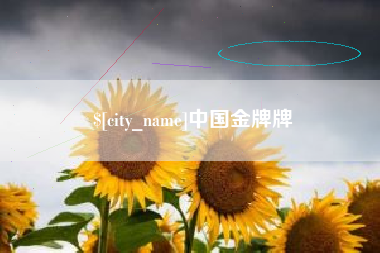 祁东中国金牌牌
