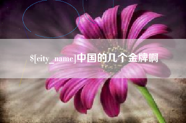 祁东中国的几个金牌啊