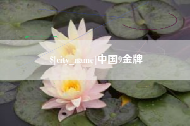 祁东中国9金牌