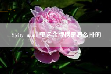 祁东奥运金牌榜是怎么排的