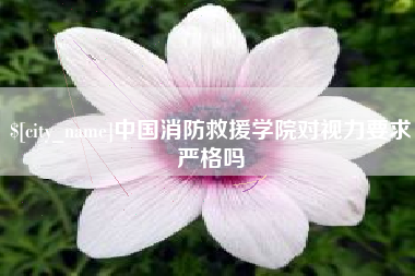 祁东中国消防救援学院对视力要求严格吗