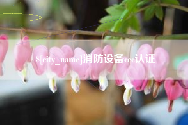 祁东消防设备ccc认证