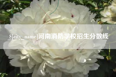 祁东河南消防学校招生分数线