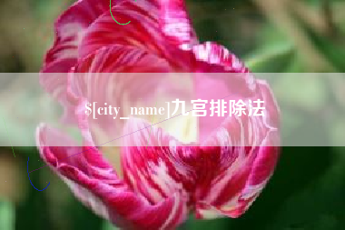 祁东九宫排除法