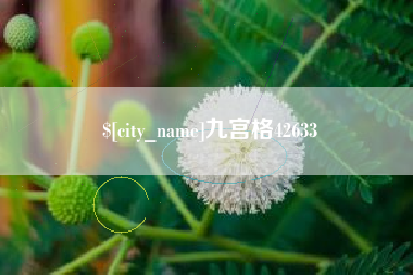 祁东九宫格42633