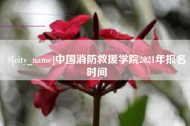 祁东中国消防救援学院2021年报名时间