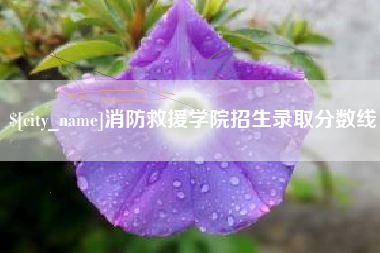 祁东消防救援学院招生录取分数线