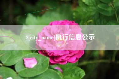 祁东执行信息公示