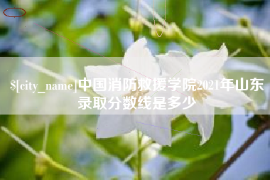 祁东中国消防救援学院2021年山东录取分数线是多少