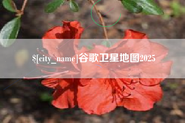 祁东谷歌卫星地图2025