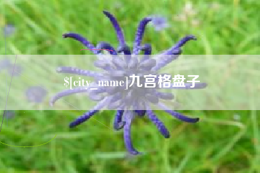 祁东九宫格盘子