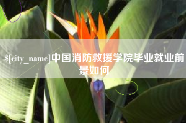 祁东中国消防救援学院毕业就业前景如何