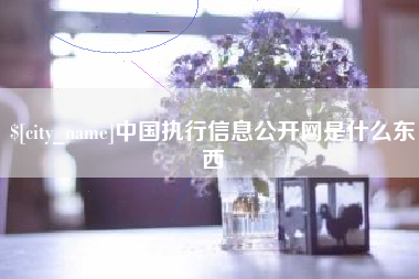 祁东中国执行信息公开网是什么东西