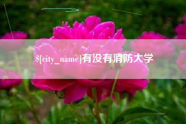 祁东有没有消防大学