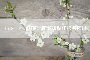 祁东国家消防救援队伍报名网址