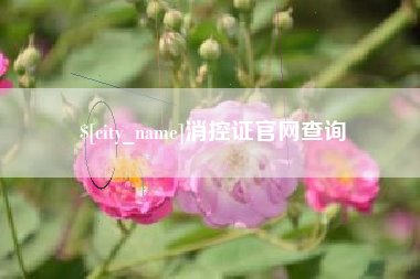 祁东消控证官网查询