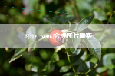 祁东金牌图片真实
