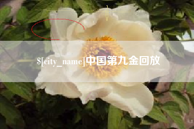 祁东中国第九金回放