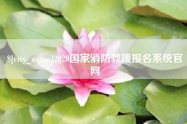 祁东2020国家消防救援报名系统官网
