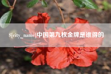 祁东中国第九枚金牌是谁得的