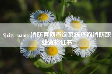 祁东消防官网查询系统查询消防职业资格证书