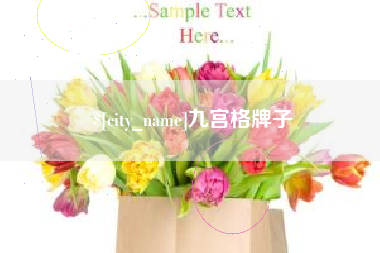 祁东九宫格牌子