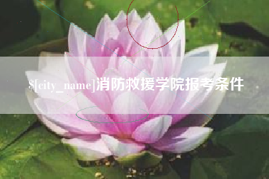 祁东消防救援学院报考条件