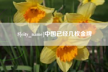 祁东中国已经几枚金牌